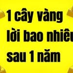 Mua 1 Lượng Vàng Trong 1 Năm Qua lời bao nhiêu?Vàng nào lời nhiều hơn?